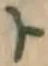 字ト