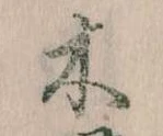 位置定マレル木