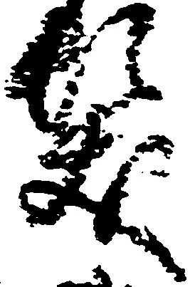 位置 確認된 髪