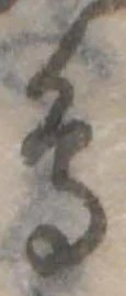 鳥 위치 확인됨