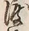 글자 渡