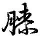 Đã định vị 膝