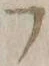 字フ