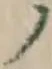 字ノ