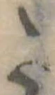 𛁠 위치 확인됨