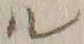 字ル