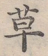 草 위치 확인됨