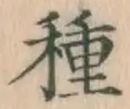 글자 種