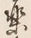 文字楽