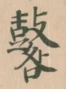 鼛の位置