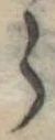 𛃰 위치 확인됨