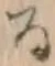 「る」字