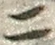“二”字