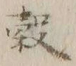 글자 穀