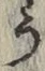 글자 う
