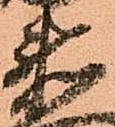 已定位衛