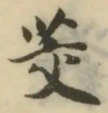 茭の位置