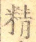 精 위치 확인됨