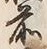 글자 前