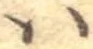 𛂞の位置