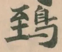 鵄の位置