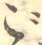 ご 위치 확인됨