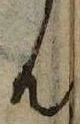 㐌定位𣗓檊