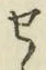 文字せ