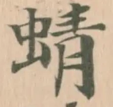 Đã định vị 蜻