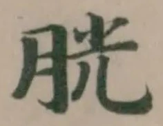 Đã định vị 胱