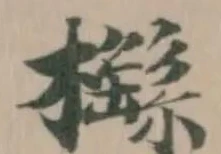 櫾の位置