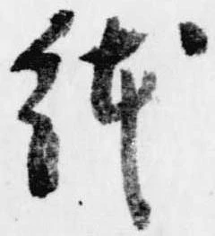 已定位鉢