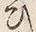 文字 ひ