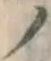 字ノ