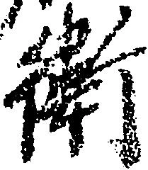 已定位衛