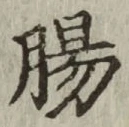 文字腸