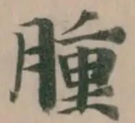腫 위치 확인됨