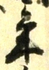 글자 年