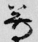 已定位尊
