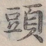 頭 위치 확인됨
