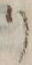 글자 リ