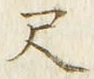 「尺」字