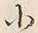글자 小