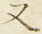 「又」字