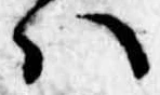 Đã định vị 𛂞