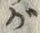 「が」字
