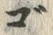 字ゴ