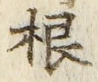 𡨸根