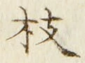 文字枝