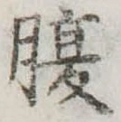 腹 위치 확인됨